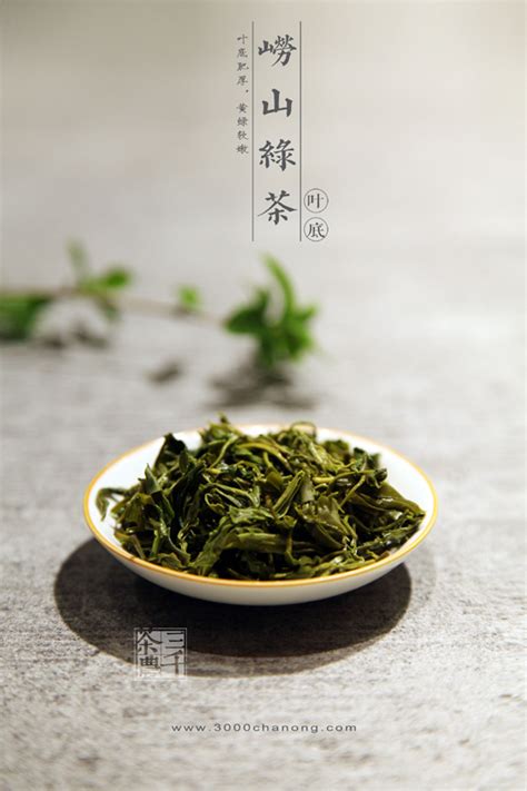 产于山东的绿茶哪些,全国哪里的绿茶最好喝