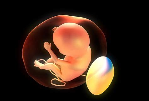 孕早期怎么吃对胎儿好