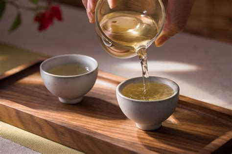 視覺白茶:福鼎白茶簡介