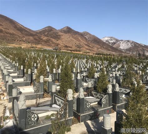 南京生态葬有哪些,生态葬奖励政策出台