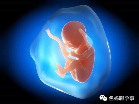 胎儿脐带绕颈的原因和解决方法