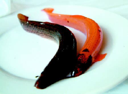 观察泥鳅日记【共计7则】