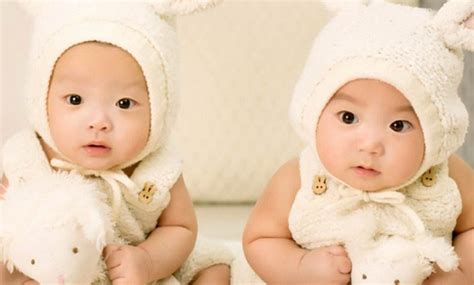 双胞胎宝宝为什么会打架