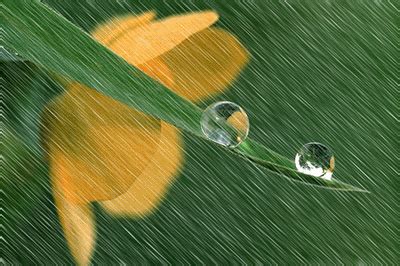 关于小雨的唯美句子朋友圈