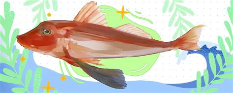 养金鱼需要注意哪些问题金鱼吃什么才能长得快,红头金鱼吃什么