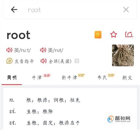 root的意思是,ROOT是什么意思