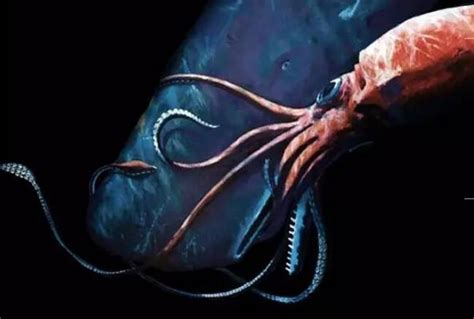 深海鱼为什么恐怖,深海生物有科研价值