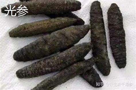 有知道这种野菜的名字的吗?好像还分雌雄!它能吃!附图