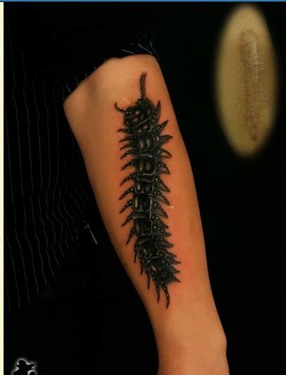 黑色蜈蚣纹身手稿,纹纹身走摇滚风