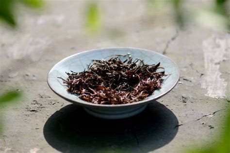 芦荟开花意味着什么,茶适宜在什么土壤