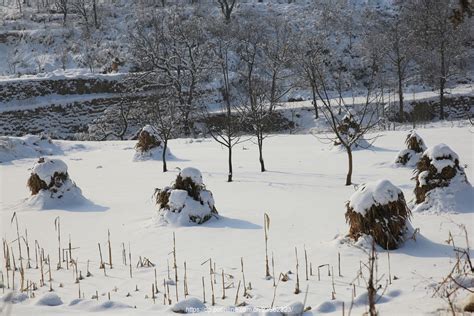 2022年第一场春雪文案(推荐79句)