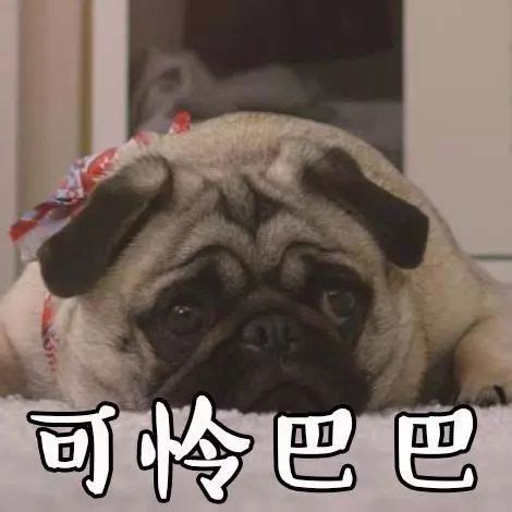 用狼心狗肺造句