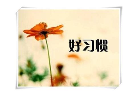 坏习惯_与手机有关的作文250字【优秀4则】