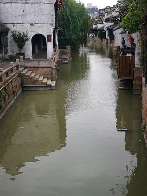 美丽的月河街-写景作文350字[经典8则]