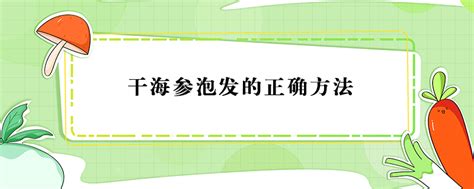 鲜海参泡发后怎么小了,淡干海参泡发后能有多大