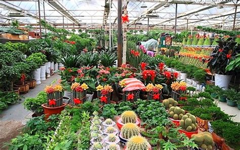 请问广州有哪些花卉市场?