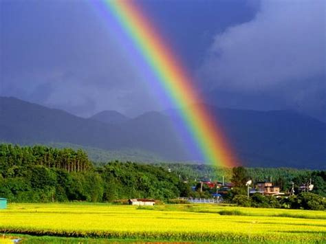 雨后彩虹_小学记叙文700字[优秀4则]