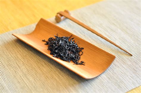 古树茶可卖4000元/公斤,野放茶的价格是多少钱