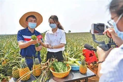 什么叫农村电商(农村电商缺少什么)