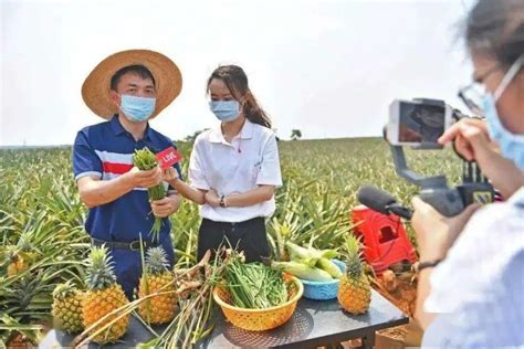 农村电商是什么(什么是农村电商)