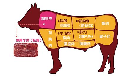 牛仔骨是哪個(gè)部位