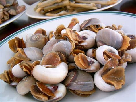 贝壳类海鲜应该怎么吃,贝类海鲜此时最肥美