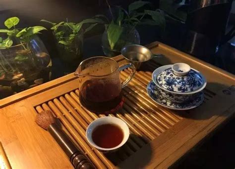 白沙溪天茯茶怎么喝才能减肥,4种喝法请随意