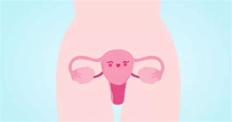卵巢功能早衰不排卵怎么办