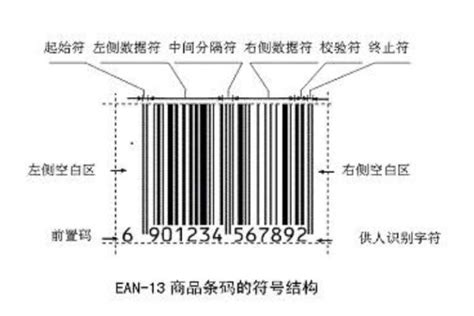 松茸在中国编码中心分类是什么,中国物品编码中心