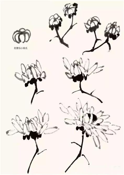 我最喜欢的花-描写菊花的作文150字(经典7篇)