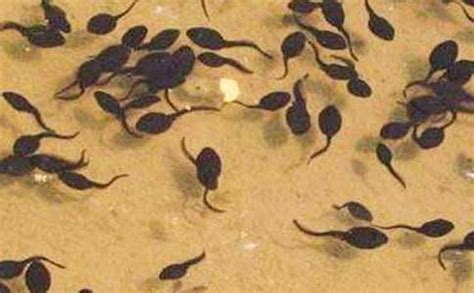 我发现了蜗牛的秘密-叙事作文450字（精选7篇）