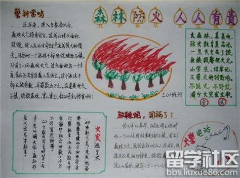 森林灭火记_ 关于森林故事的作文450字(精选4篇)