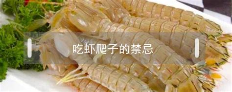 广东皮皮虾几月份吃最好