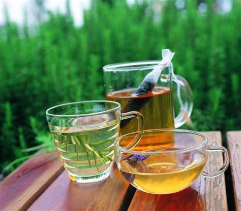 痛风病人可以喝什么茶,得了痛风的人喝什么茶比较好