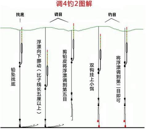 钓梭子鱼正确方法