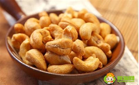 腰果是哪里的特产?