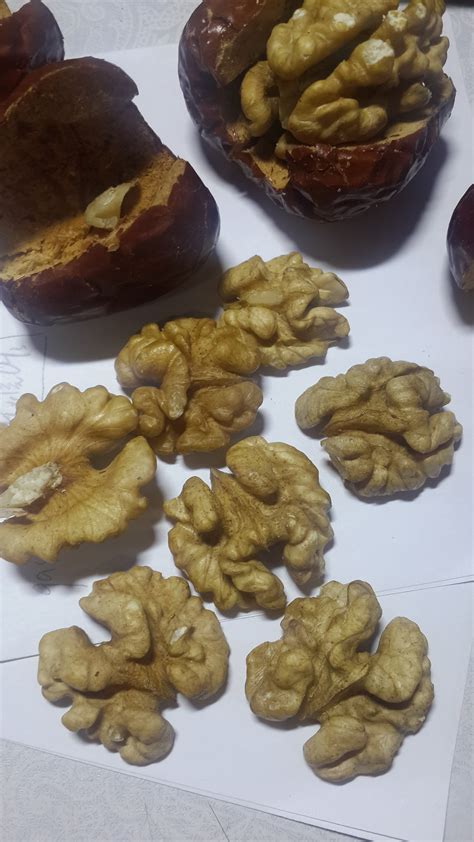 誰(shuí)知山核桃皮做什么用的