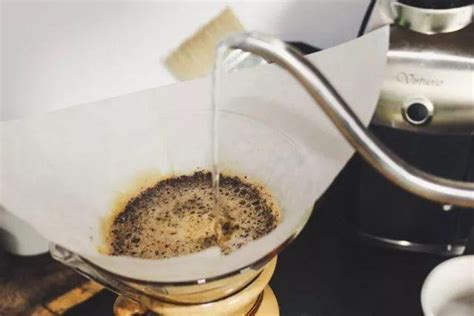咖啡豆能直接生泡吗