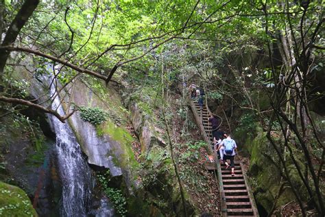 森林湖公园真美-写景作文300字（优秀6篇）
