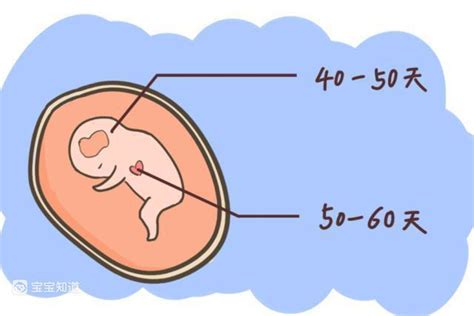 孕14周胎儿缺氧有什么反应