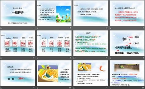 种下一粒种子-记叙文700字[共计4则]