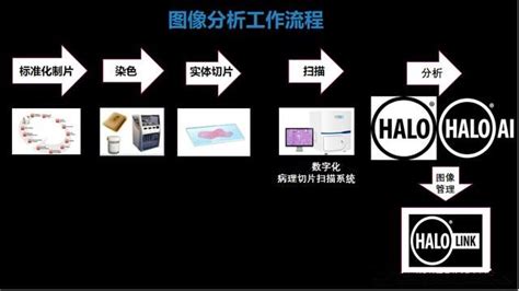 病理TBS报告软件能修改吗?