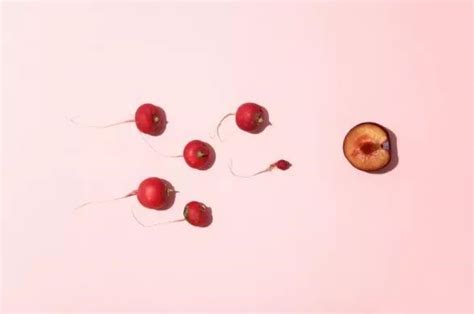 生男孩的科学备孕方法