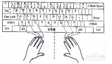 葱的五笔怎么打字