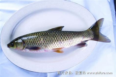 水煮鱼鱼片怎么切刺少,鹏厨用水煮鱼的方法做