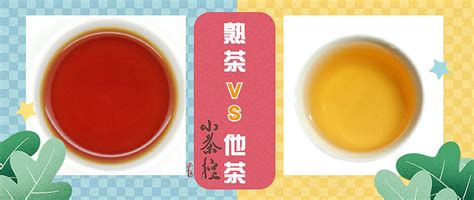 陈年普洱茶什么人能喝吗,详解陈年普洱茶的功效与作用