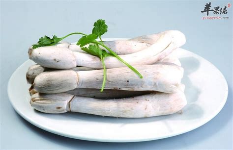 鸡腿菇孕妇可以吃吗
