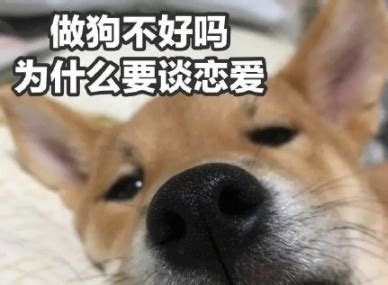 情人节没礼物没红包,只有一句情人节快乐