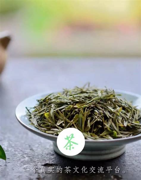 江北茶界崛起海阳绿茶,海阳有什么绿茶