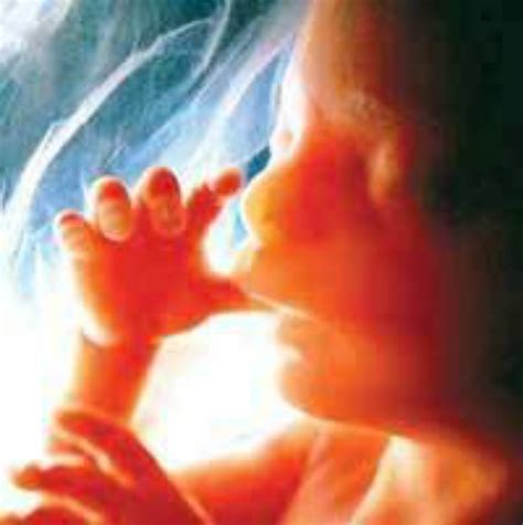 胚胎停止发育会有什么症状